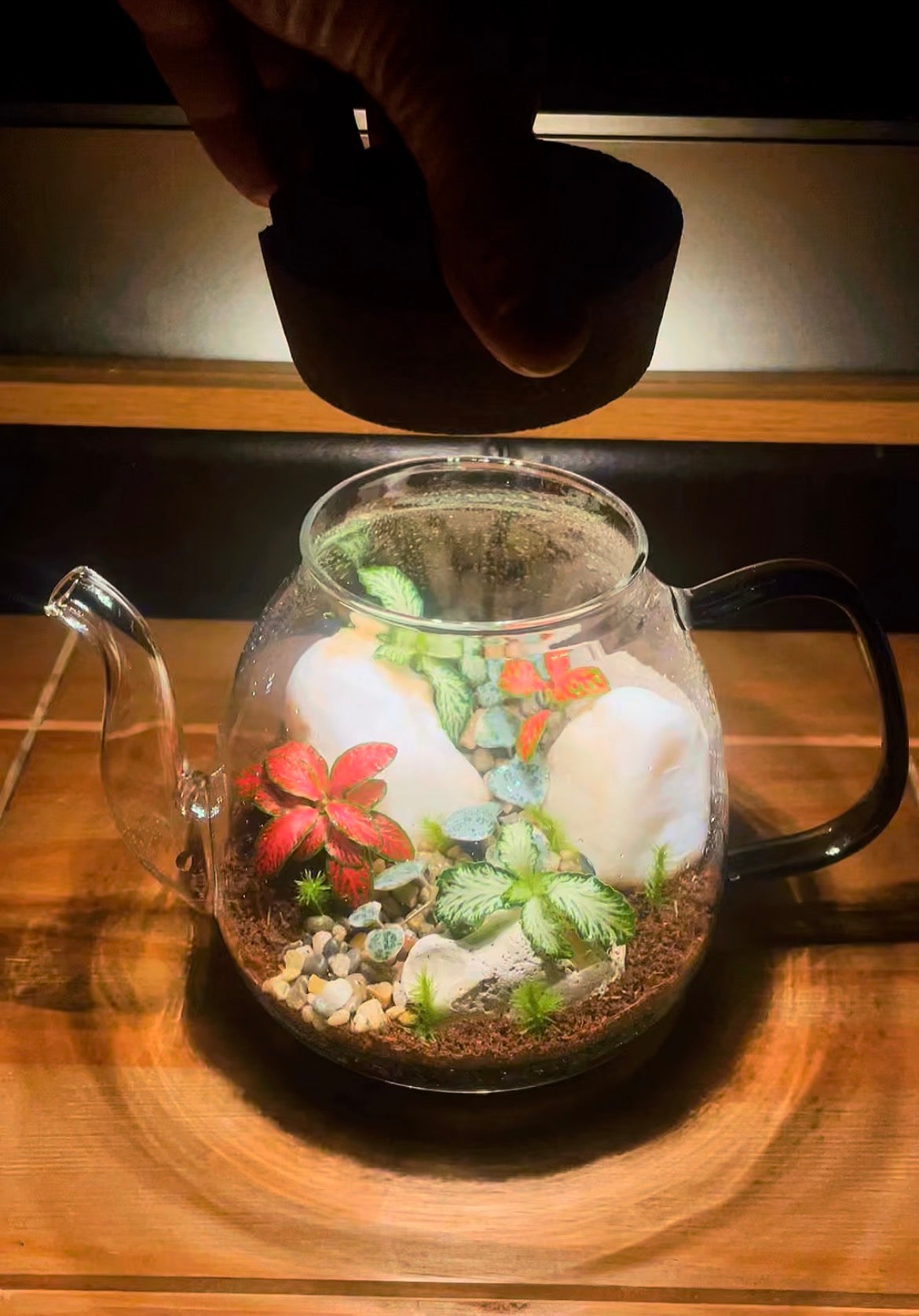 Teapot Terrarium