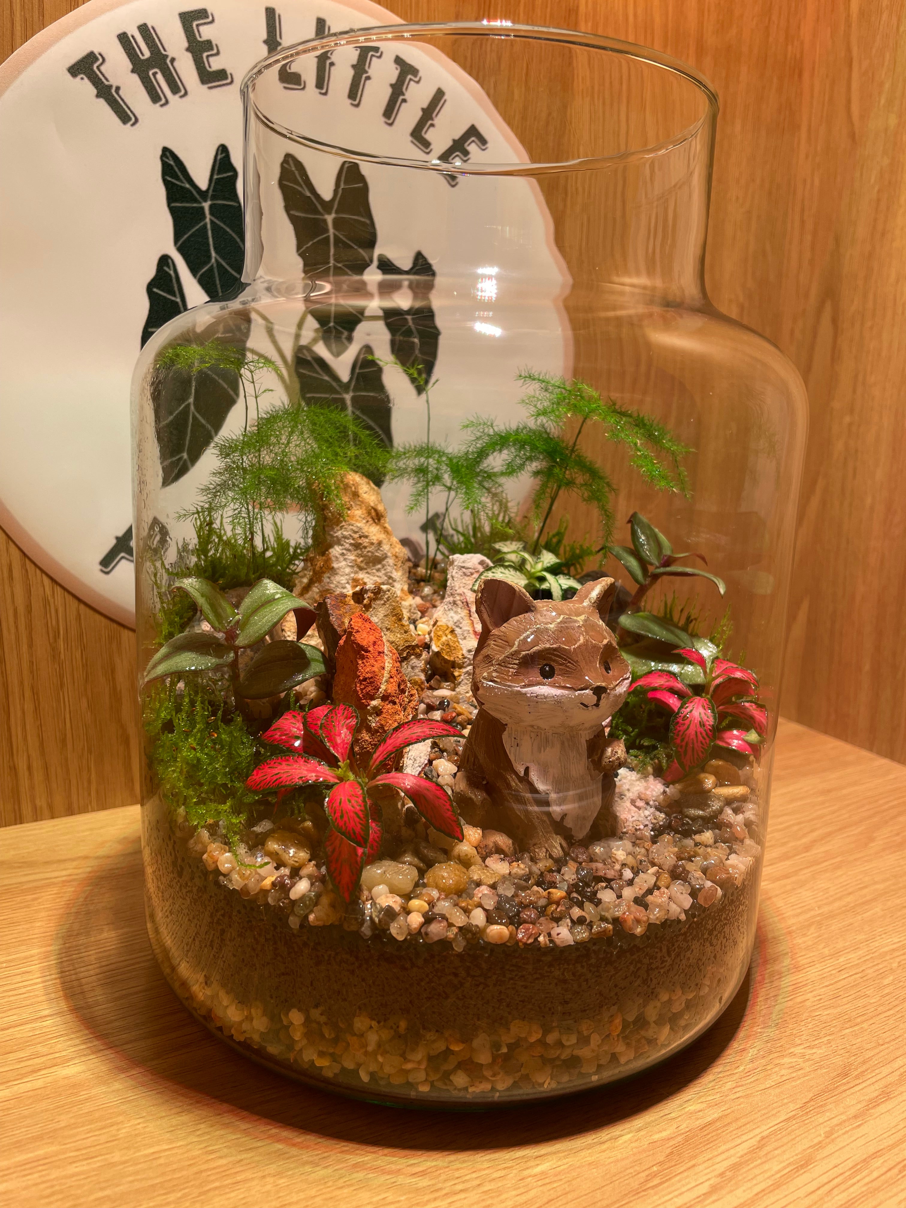 Mr Fox Terrarium