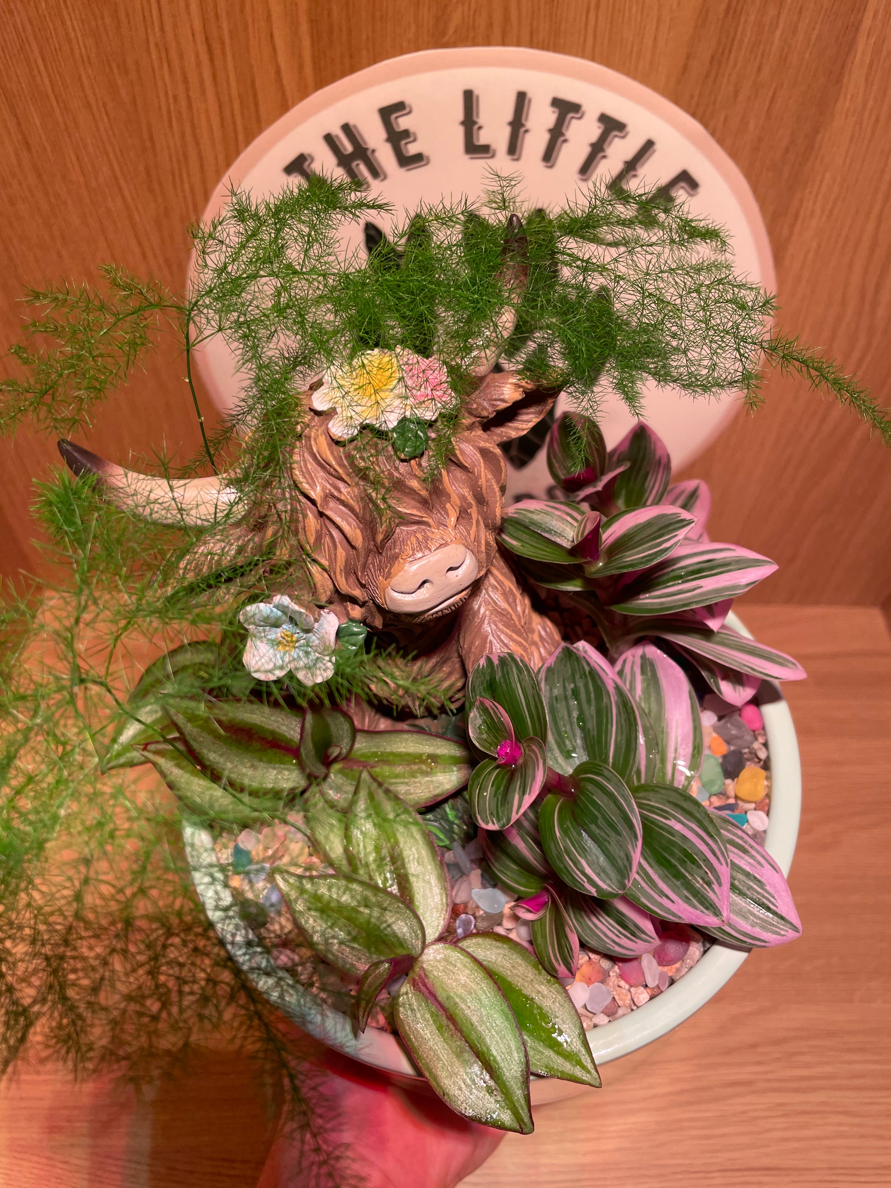 Highland Cow Bowl