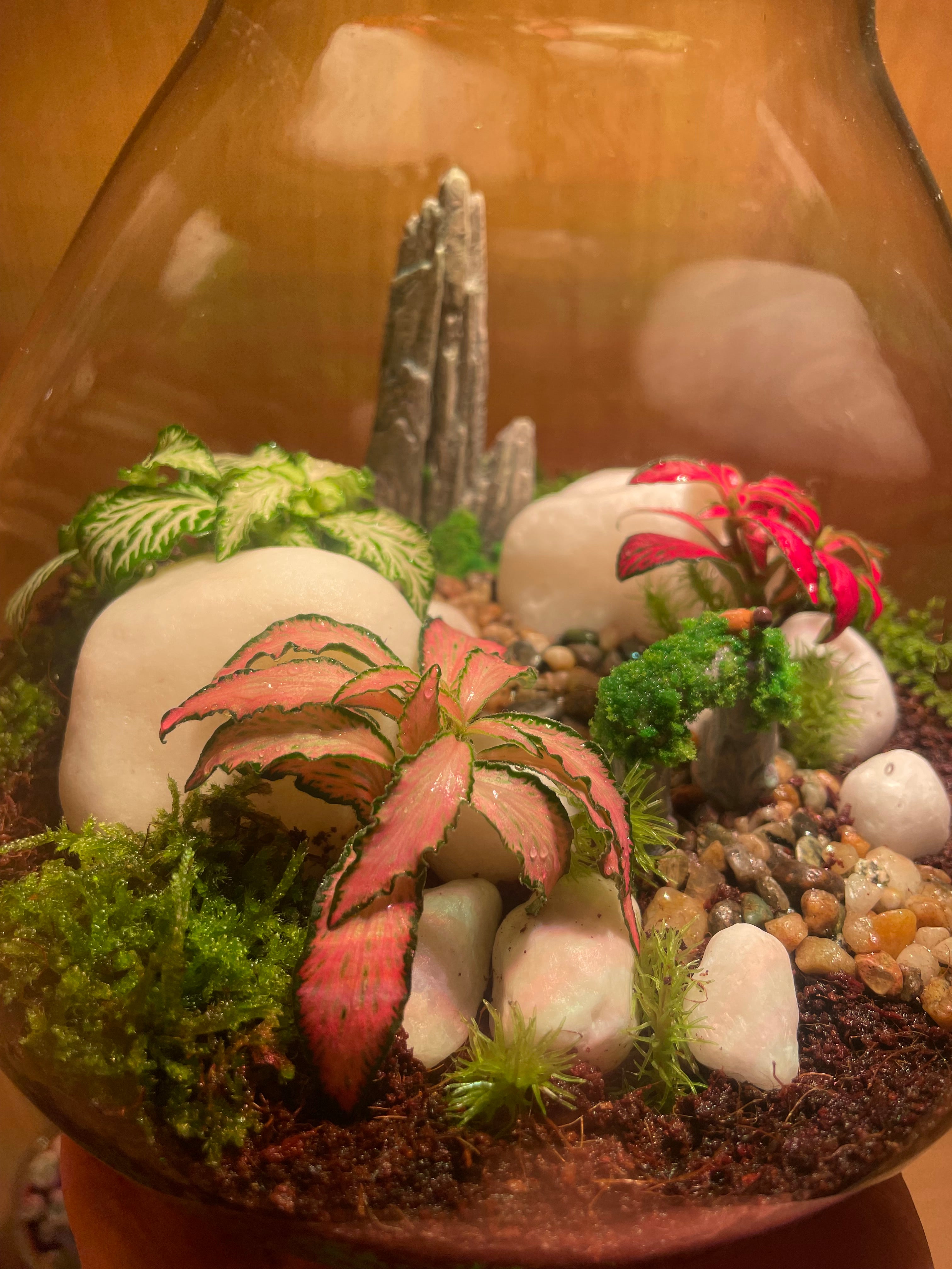 ***NEW*** Little Bird Terrarium