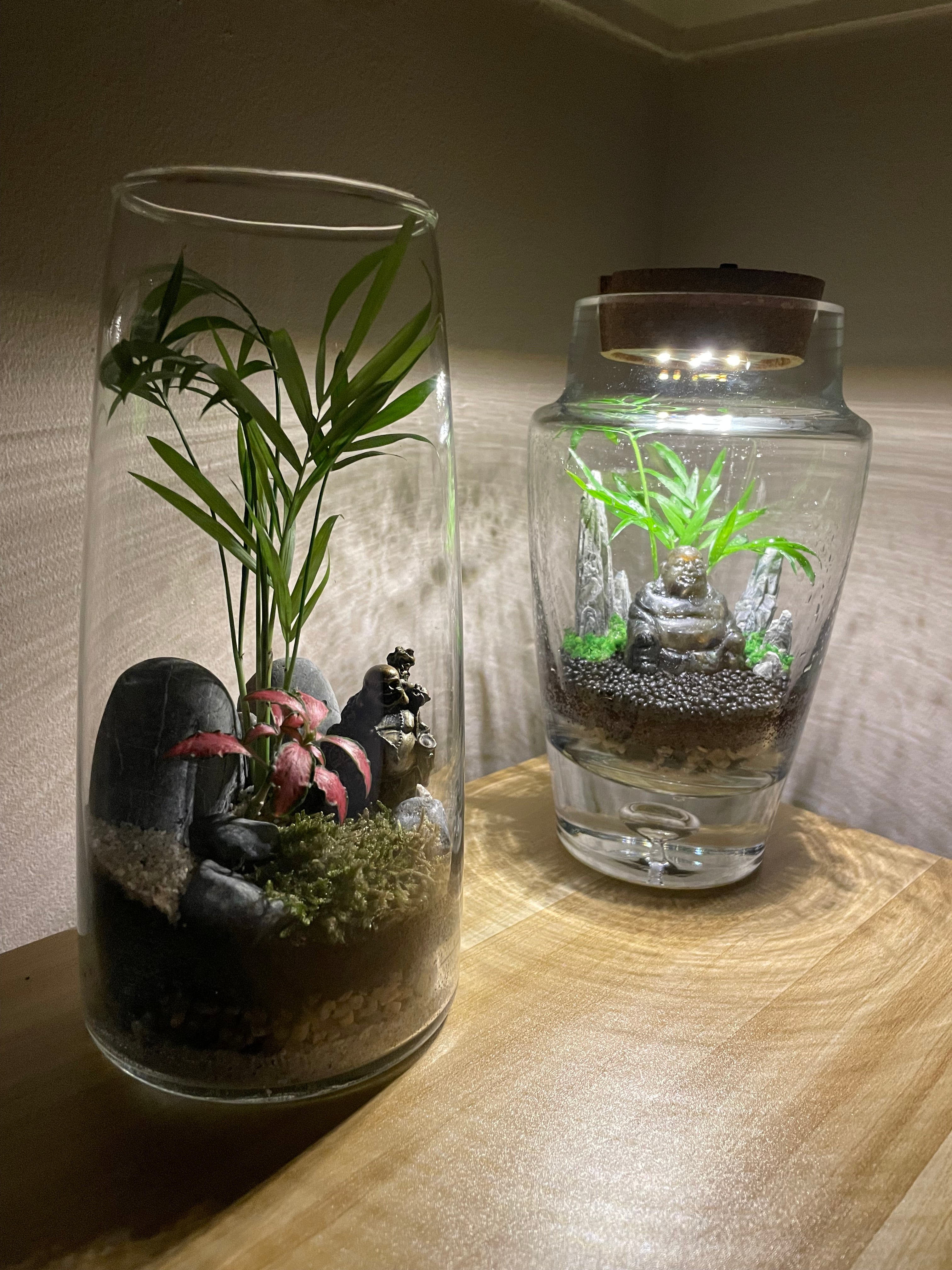 Black Crystal Buddha LED Terrarium