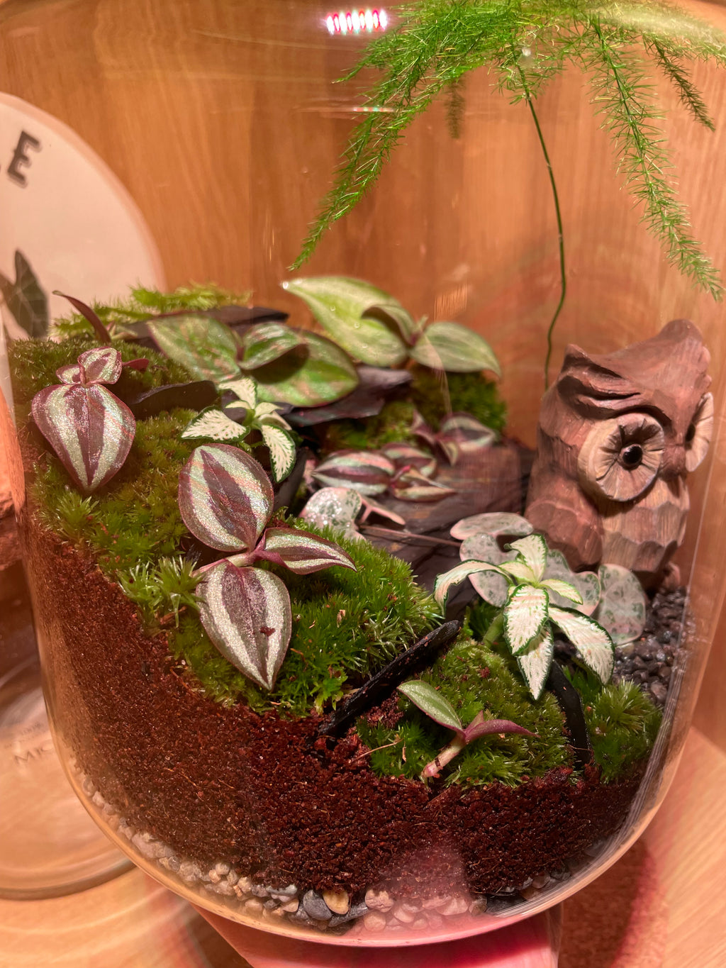 Owl Terrarium