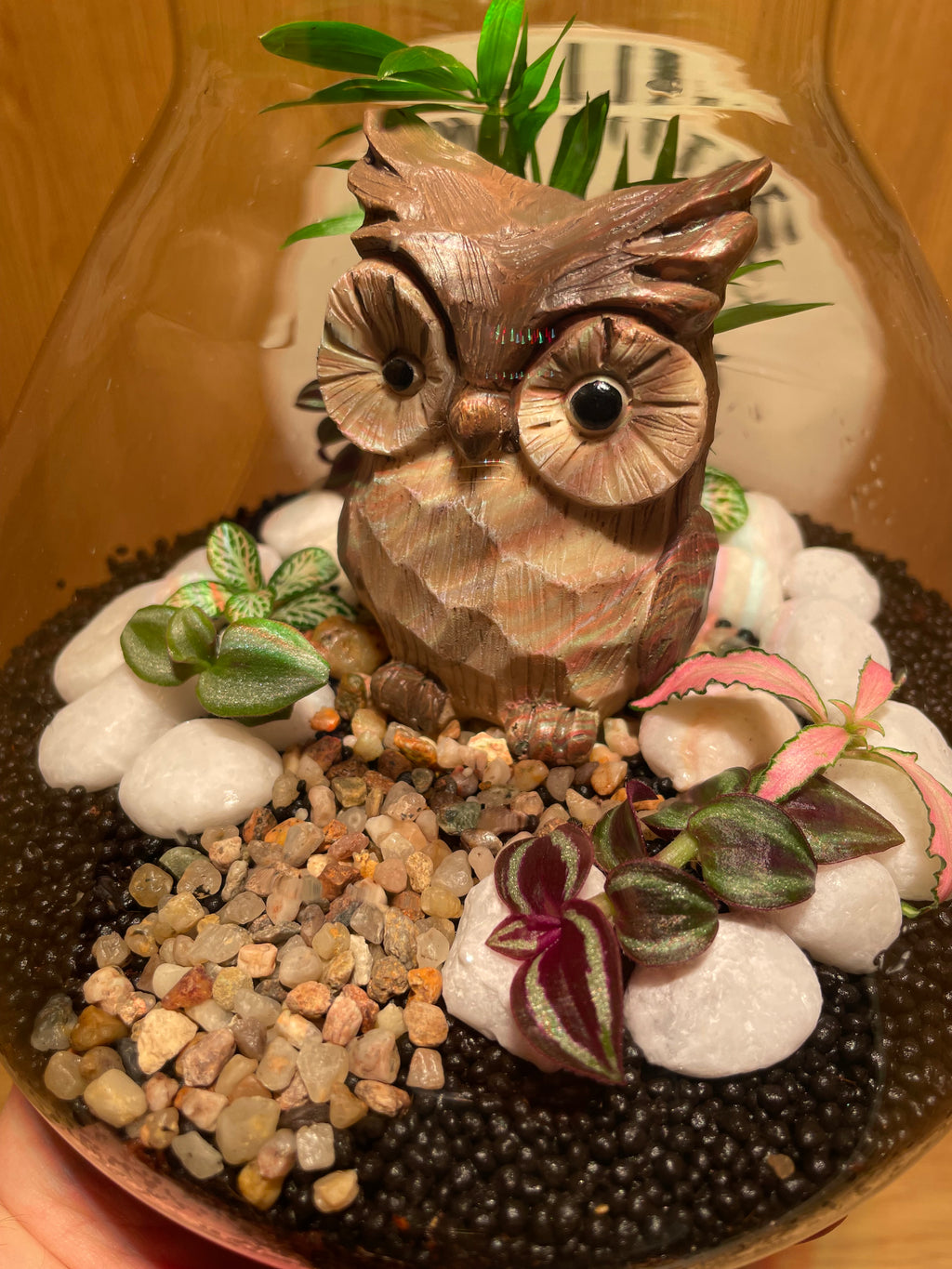 Little Owl Terrarium