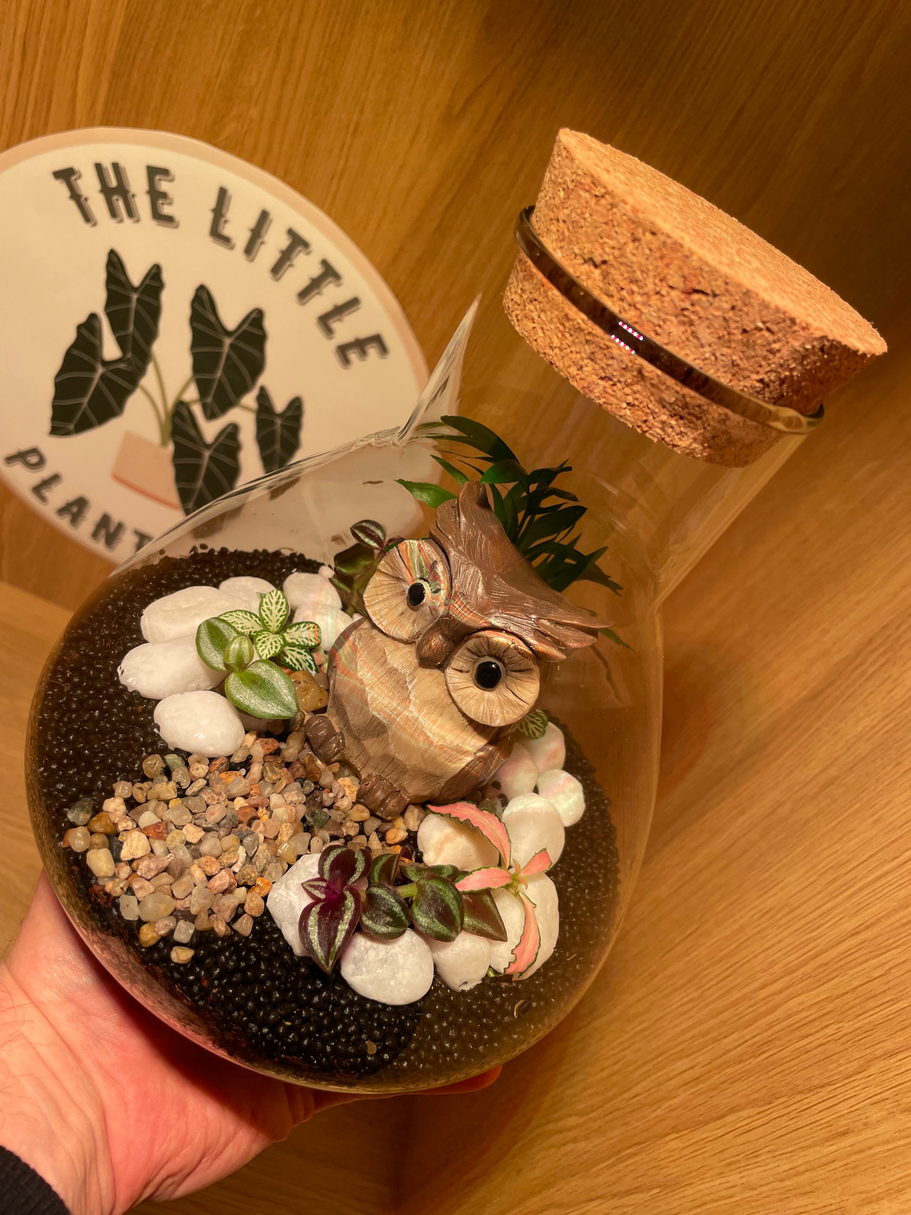 Little Owl Terrarium