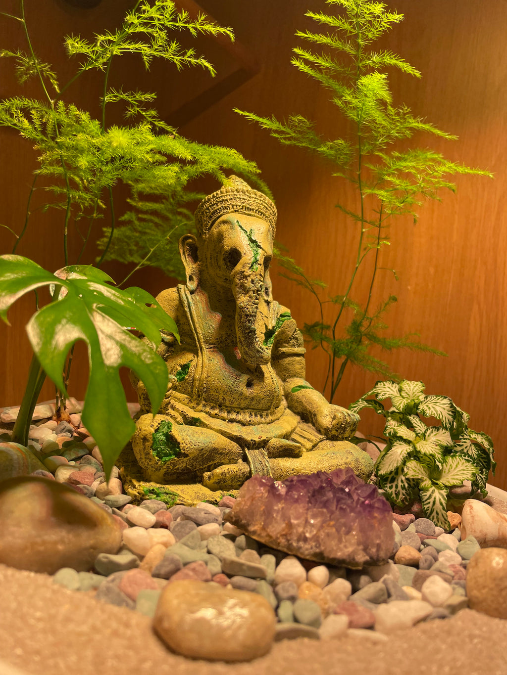 Ganesha Bowl