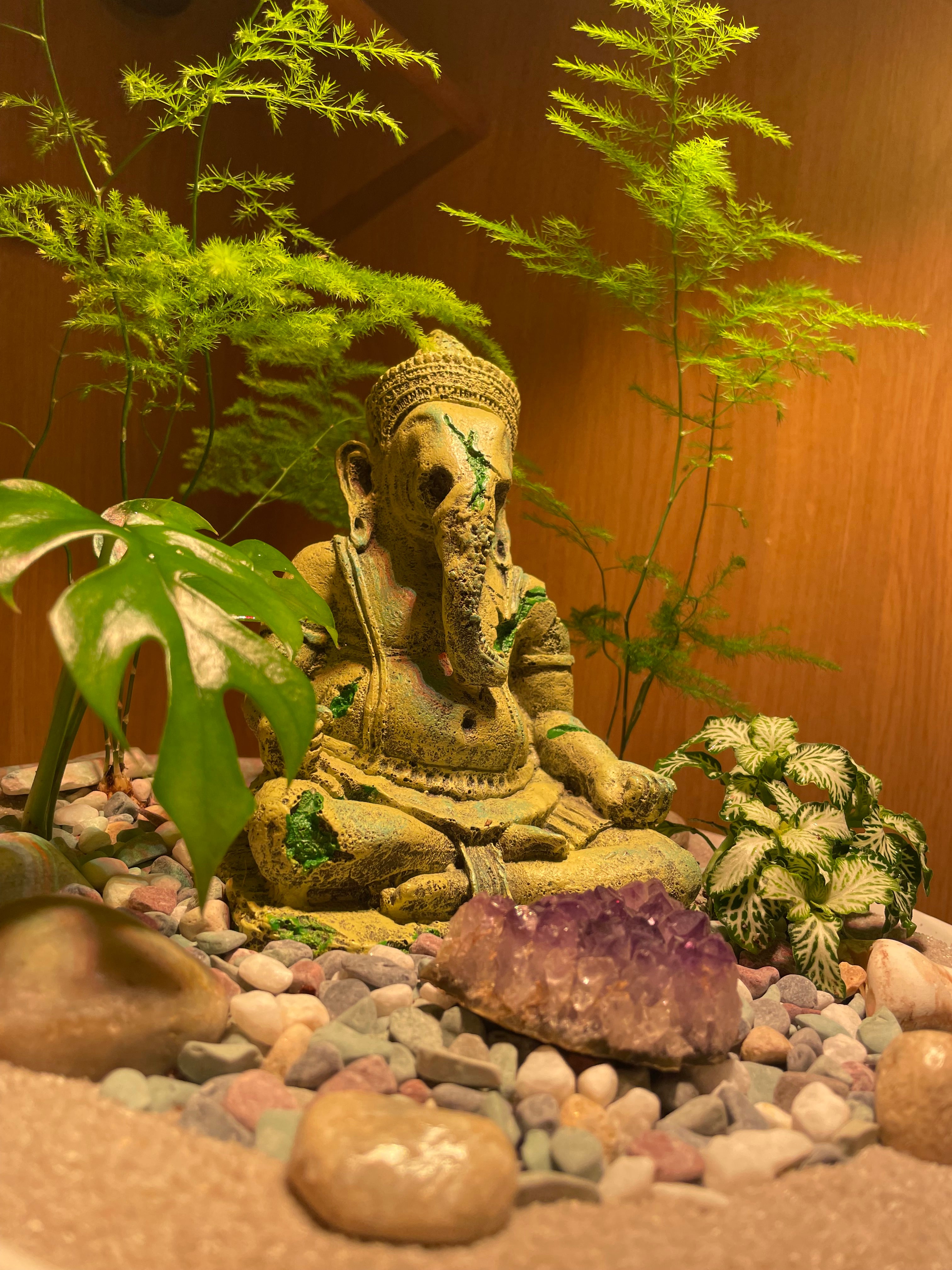 Ganesha Bowl
