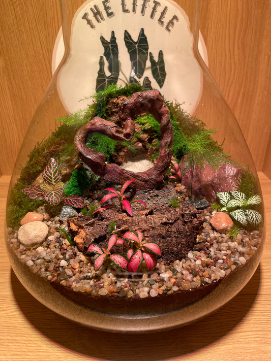 ***NEW*** Mothers Day Special