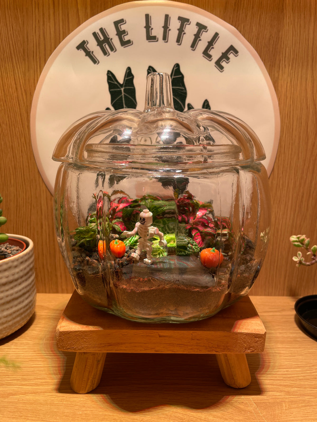 Pumpkin Terrarium