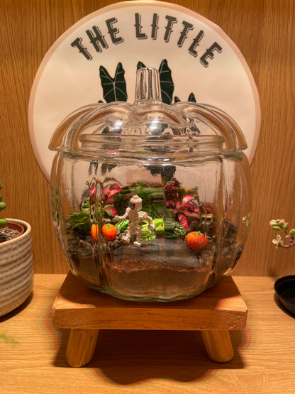 Pumpkin Terrarium