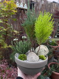 Mini Forest Bowl