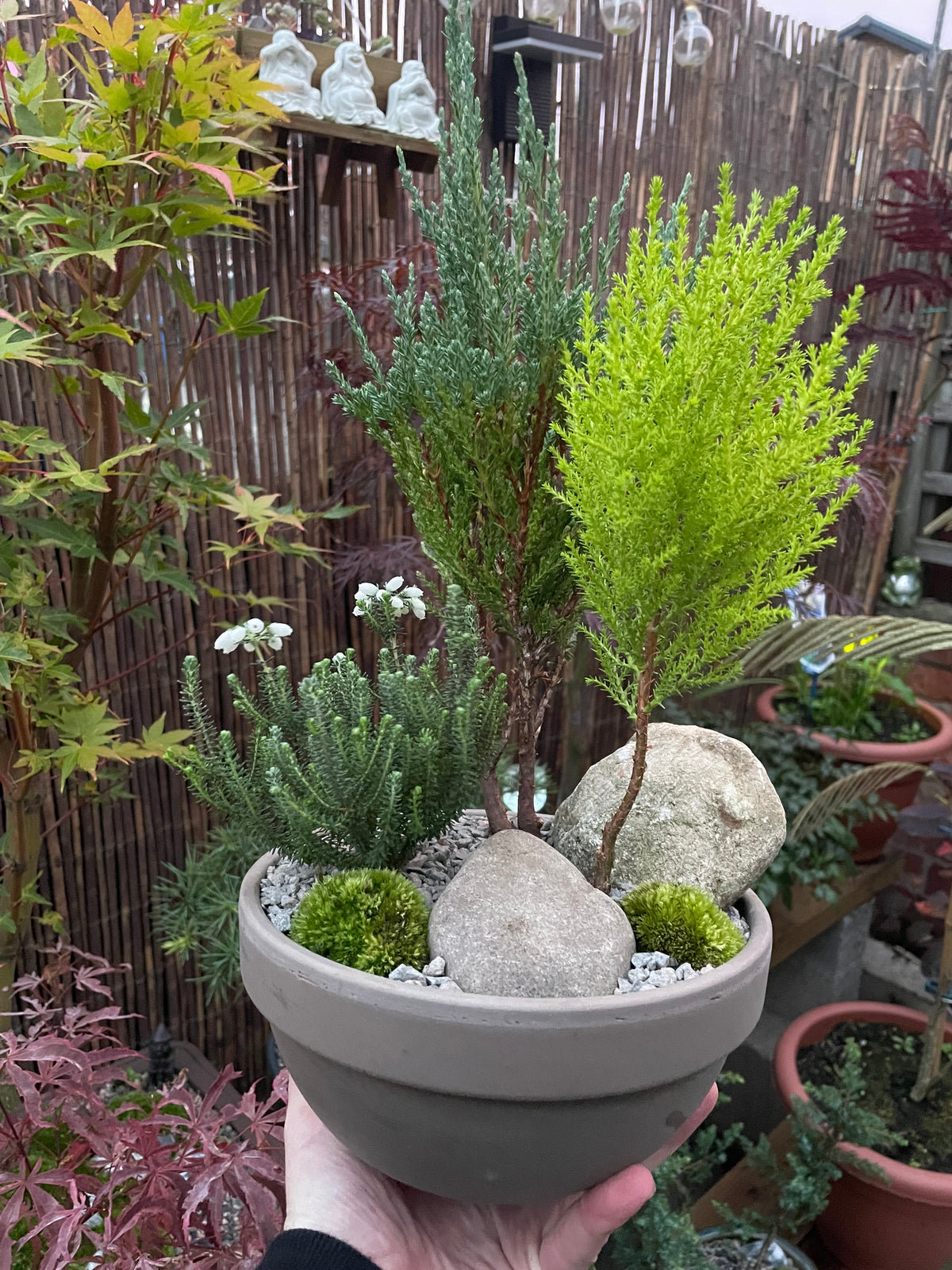 Mini Forest Bowl