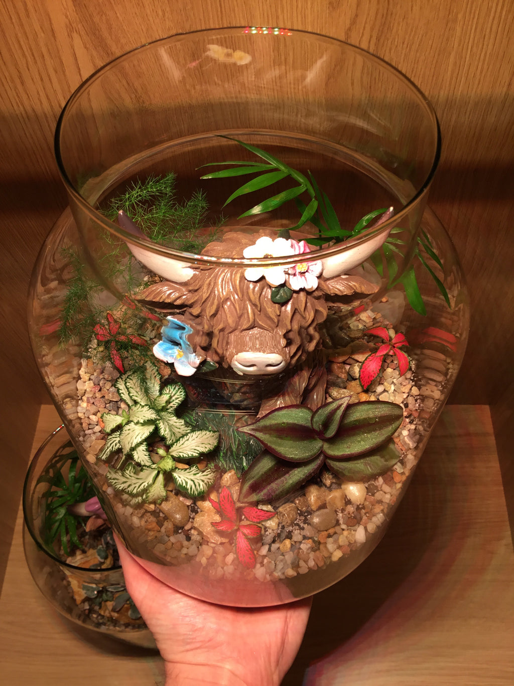 Highland Cow Terrarium