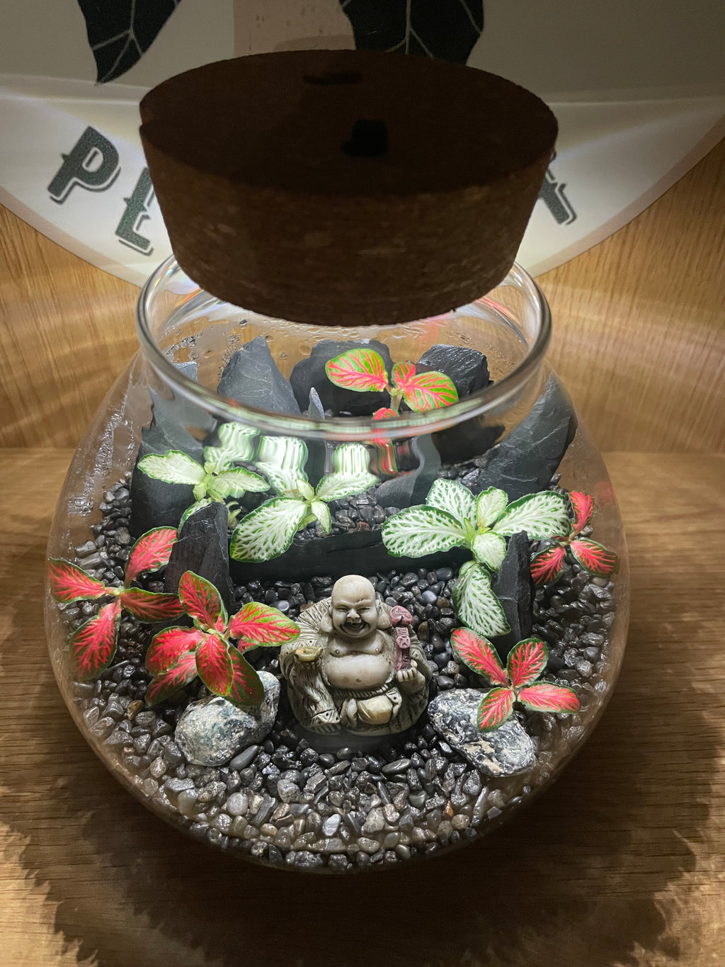 Buddha LED Terrarium