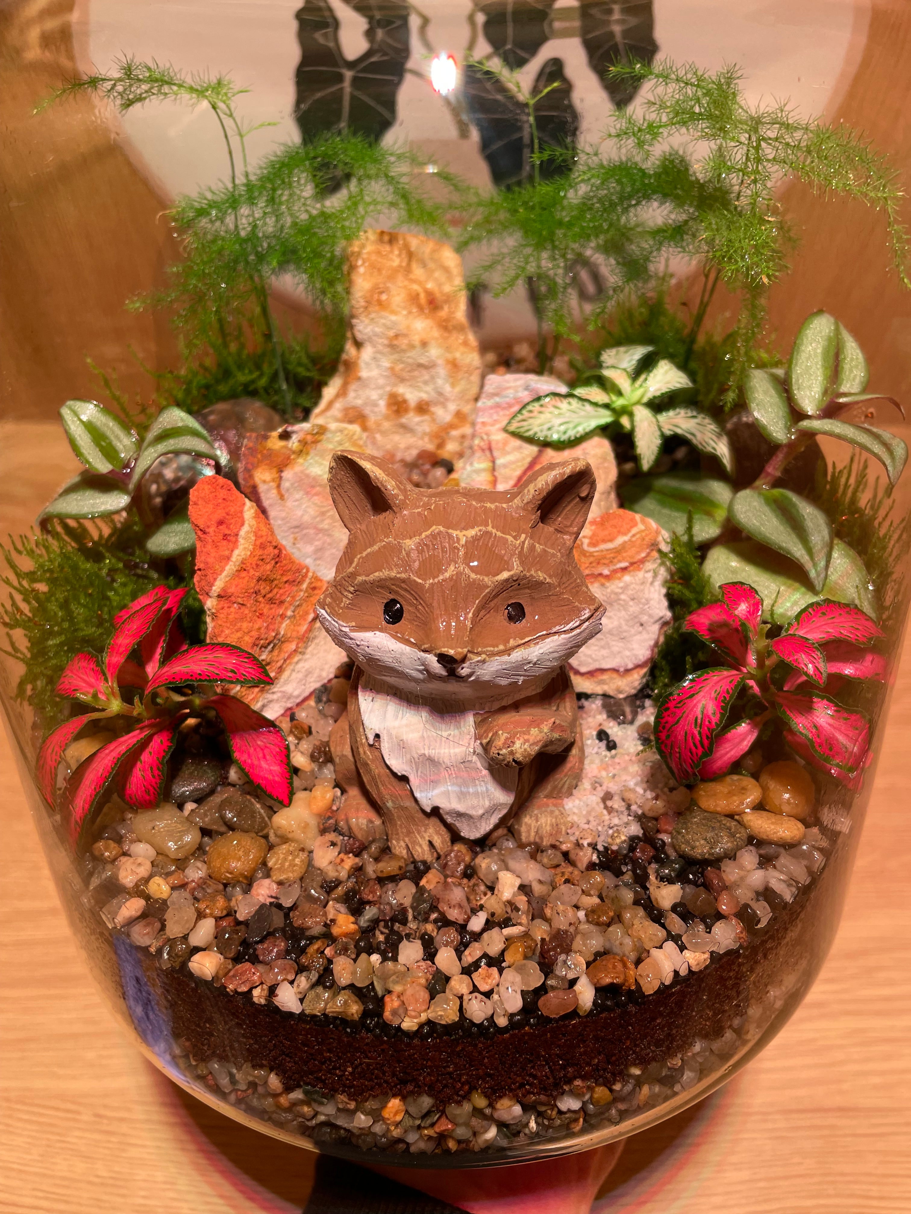 Mr Fox Terrarium