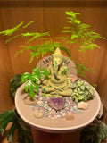 Ganesha Bowl