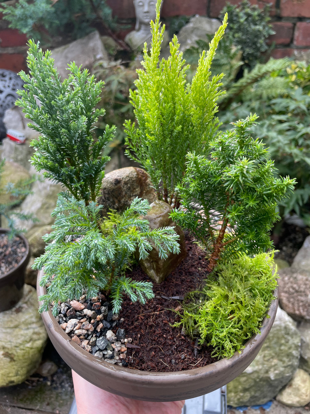 DIY Mini Forest Bowl Kit