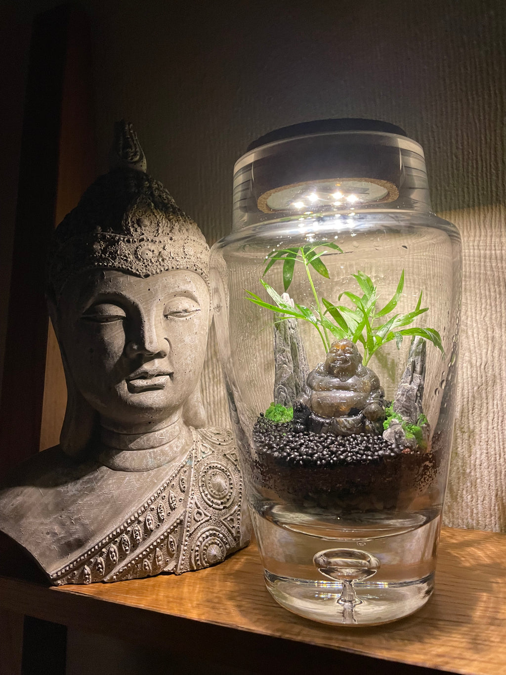 Black Crystal Buddha LED Terrarium
