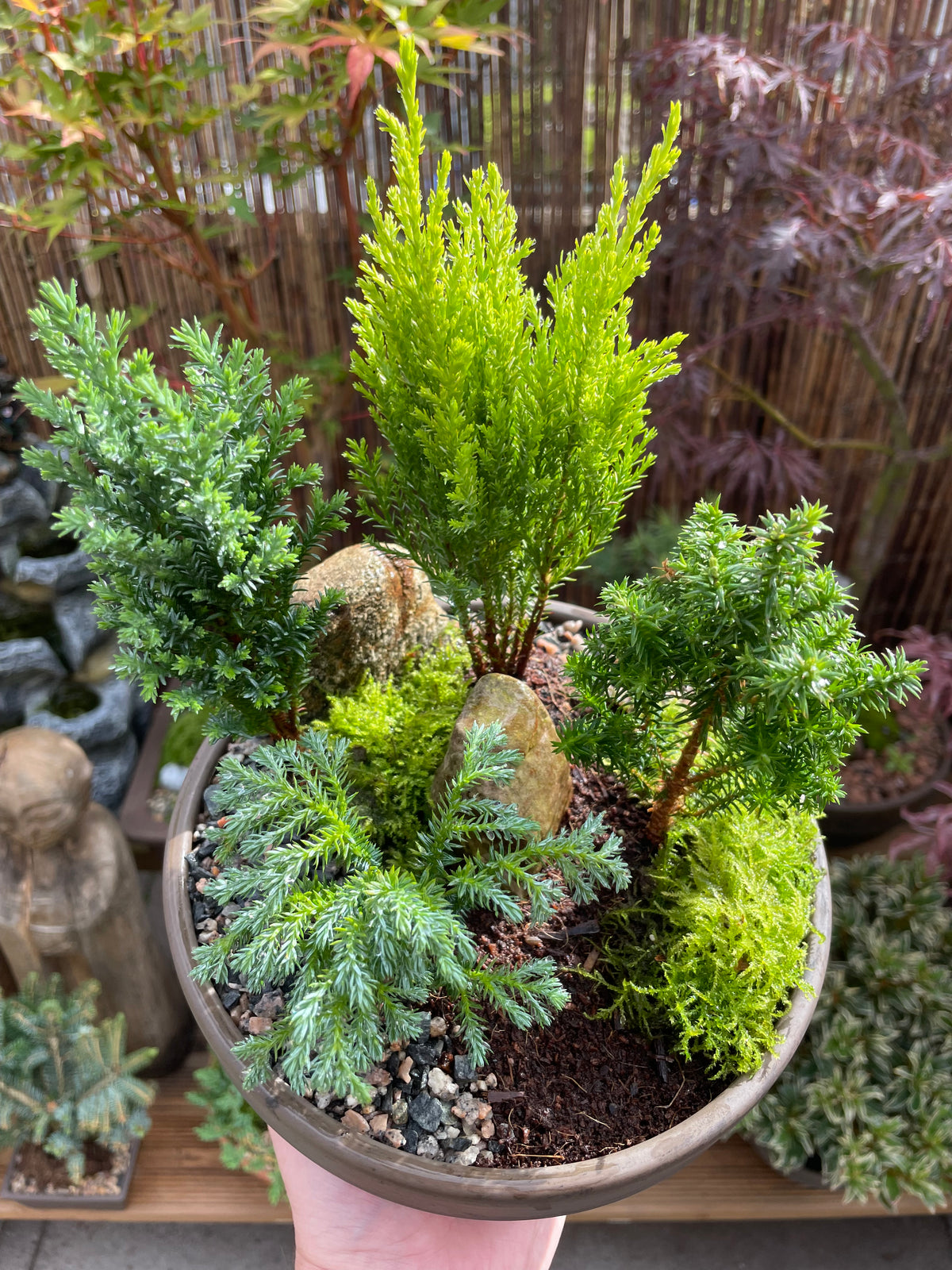 DIY Mini Forest Bowl Kit