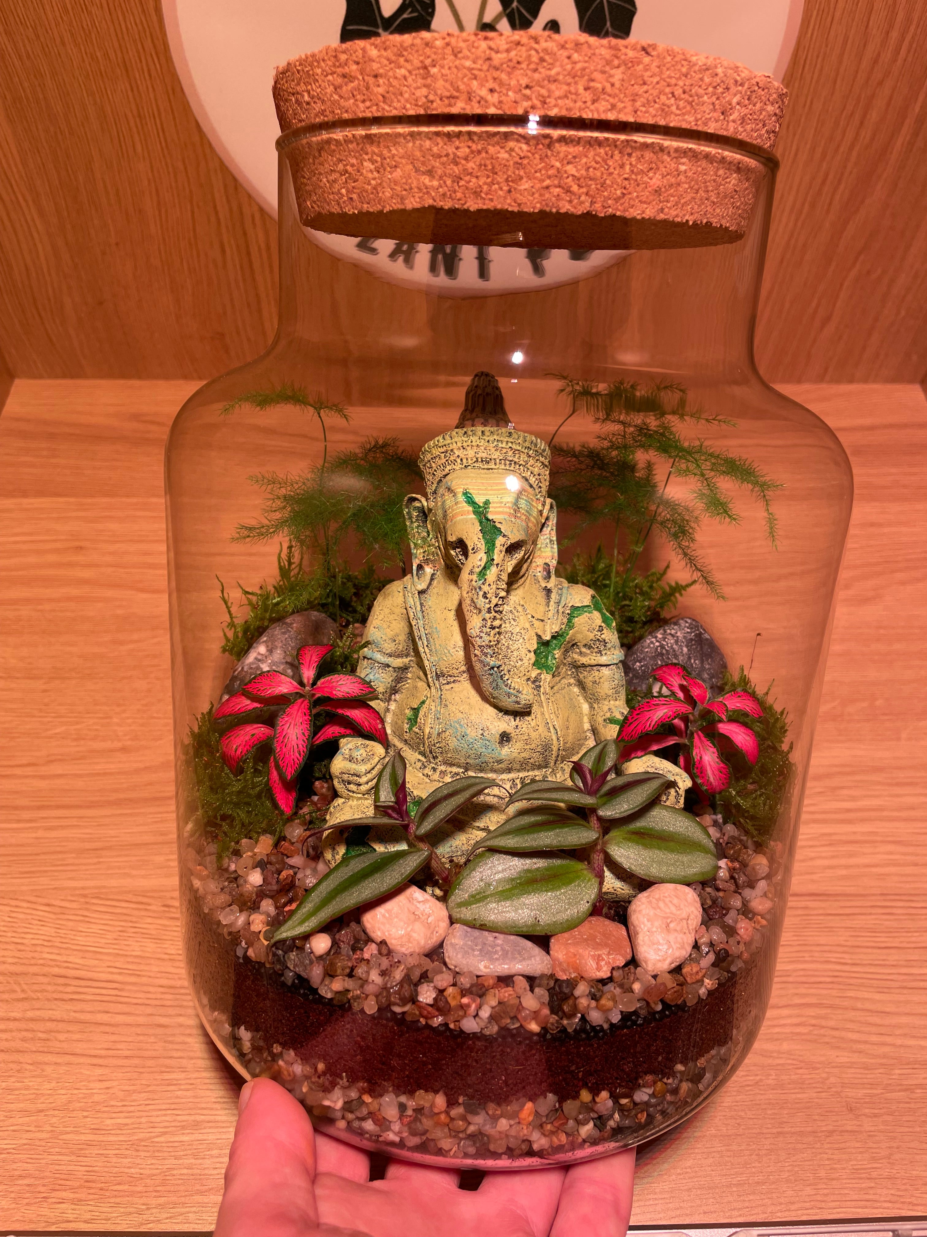 Ganesha Terrarium