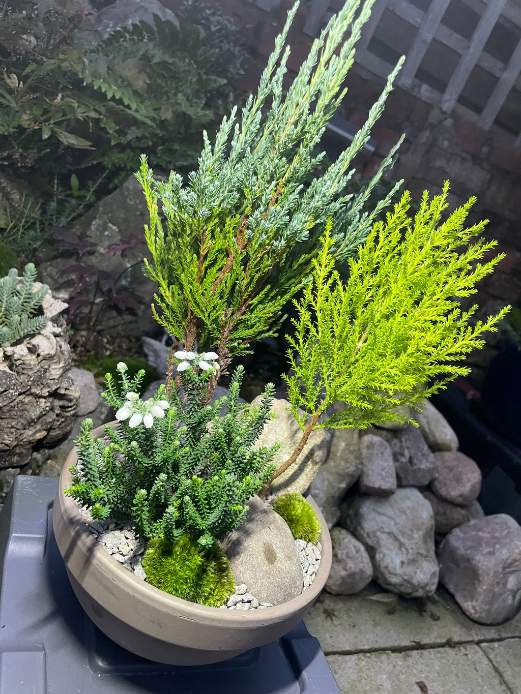 Mini Forest Bowl