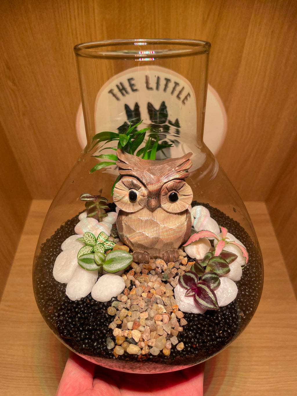 Little Owl Terrarium