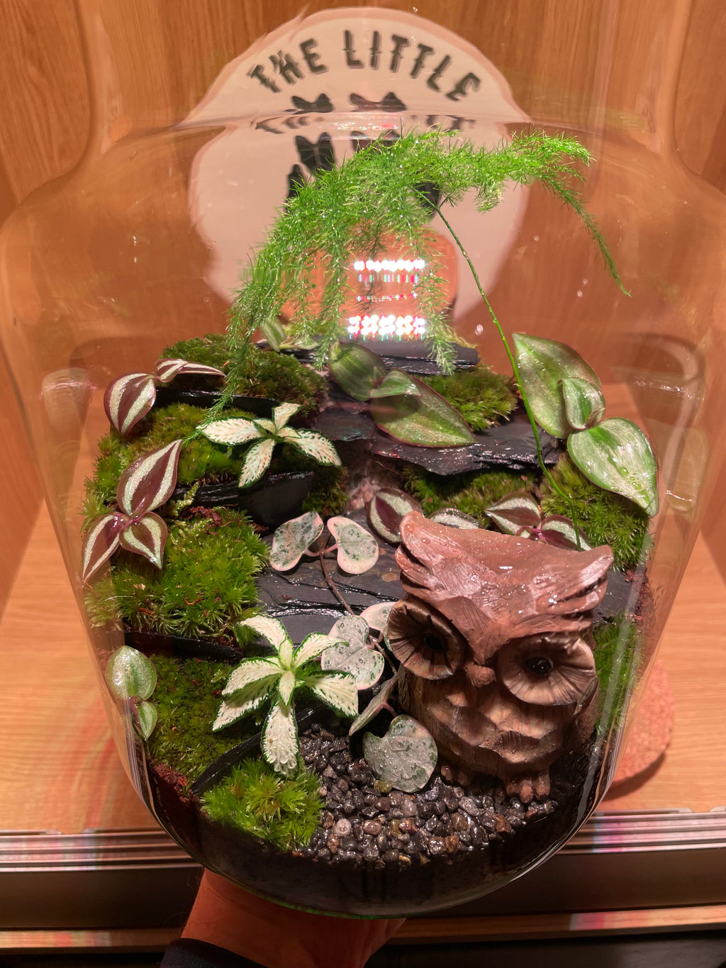 Owl Terrarium