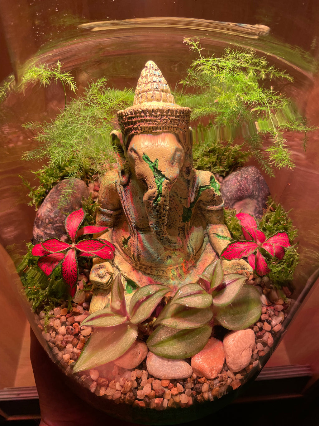 Ganesha Terrarium