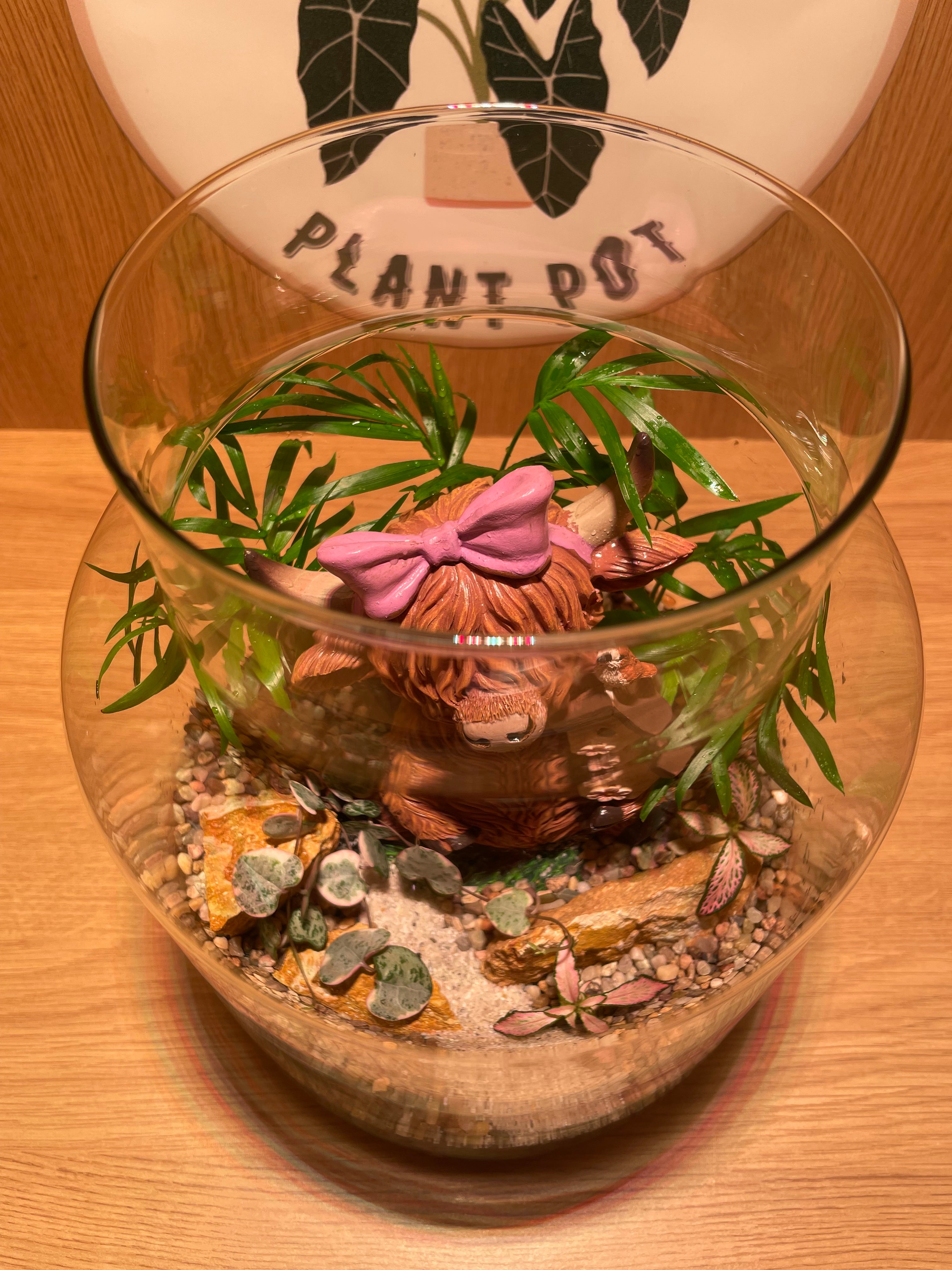 Highland Cow & Birdy Terrarium