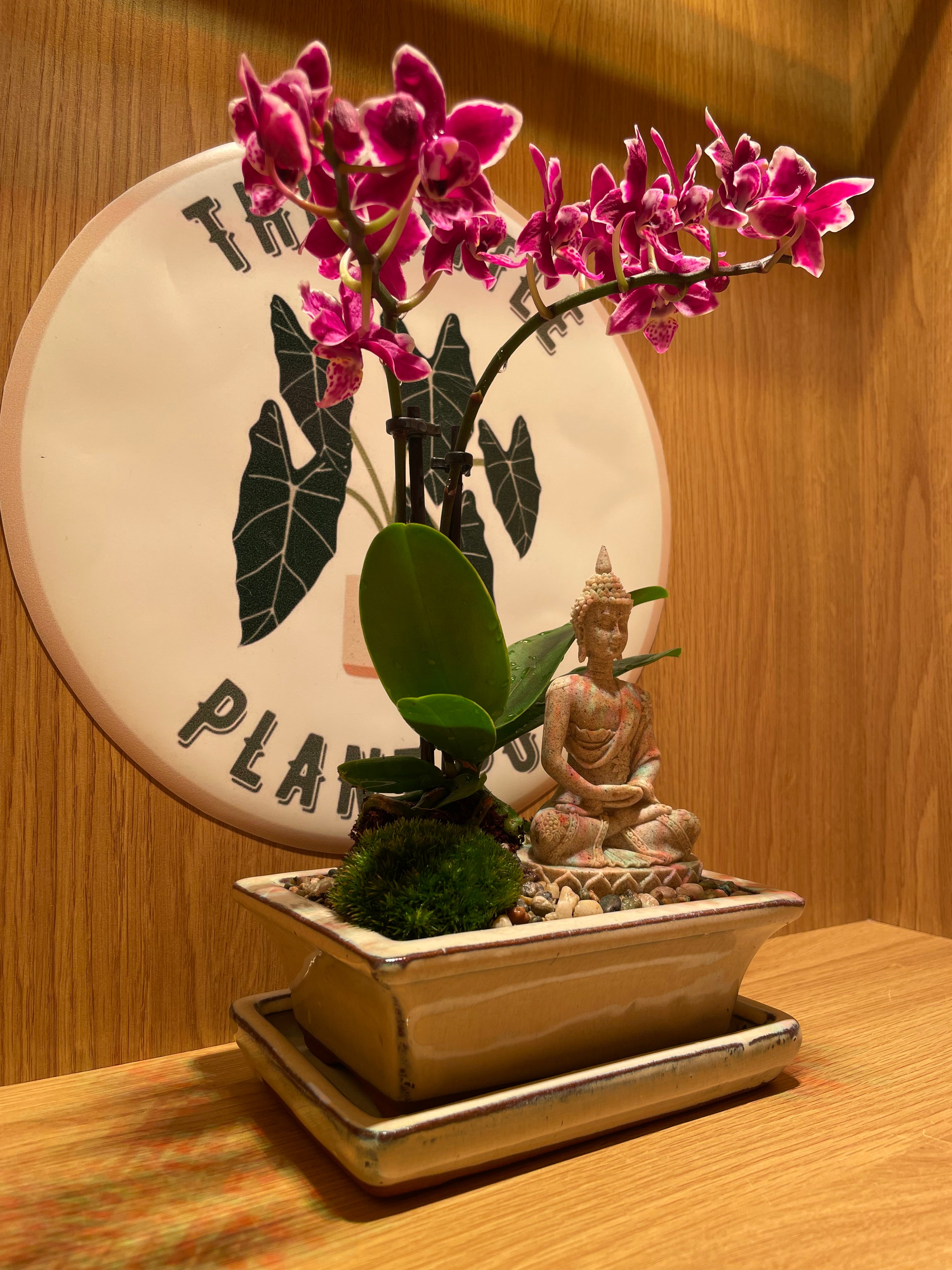 Buddha and the Orchid