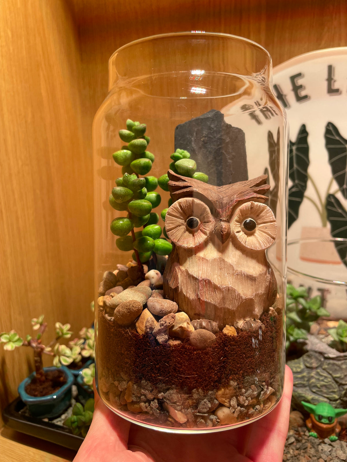 Little Owl Terrarium