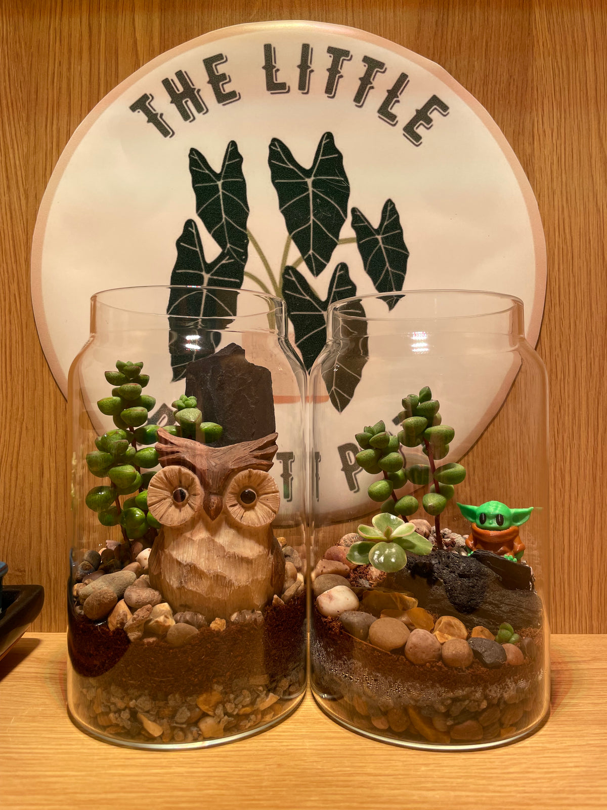 Little Owl Terrarium