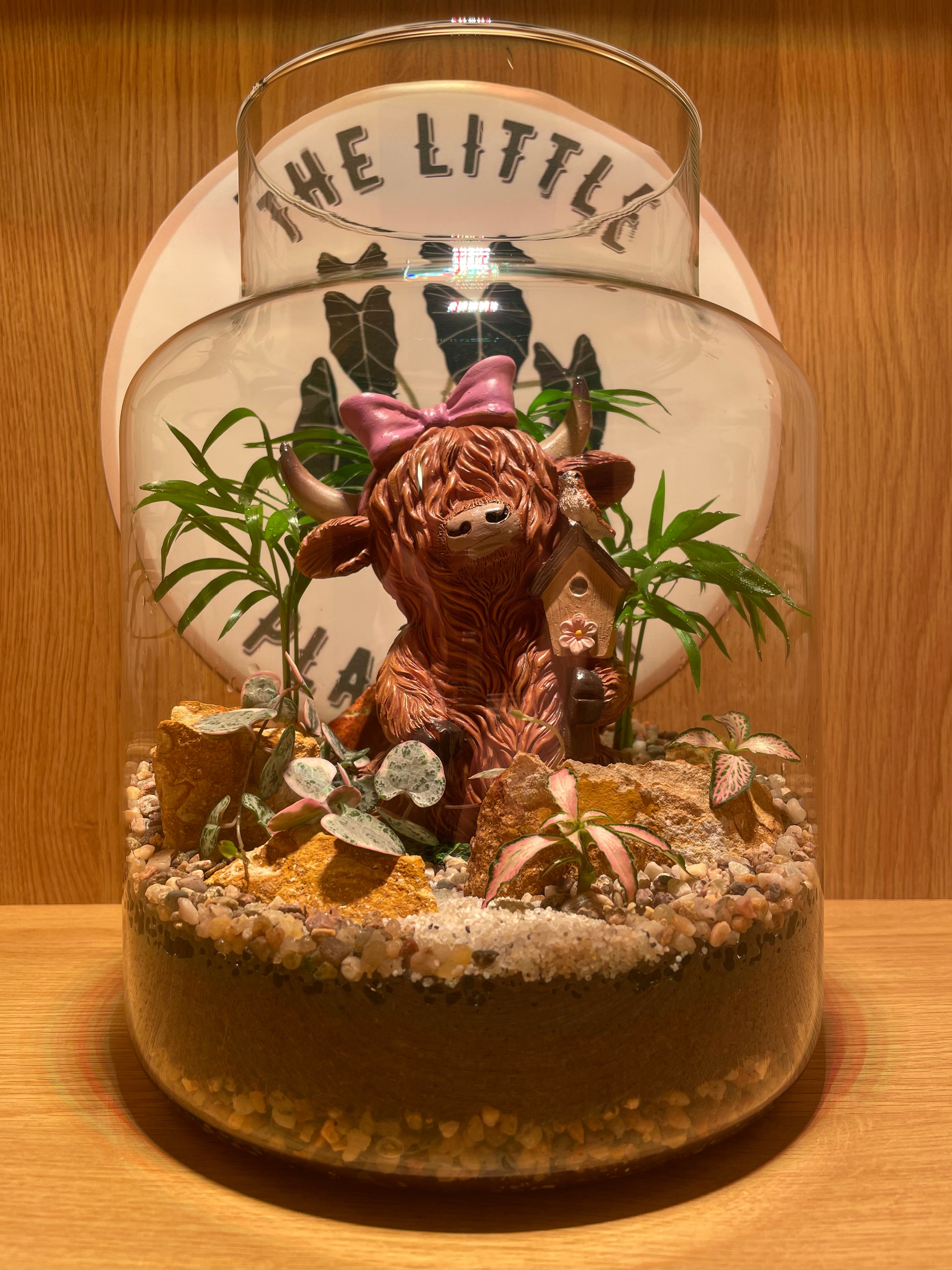 Highland Cow & Birdy Terrarium