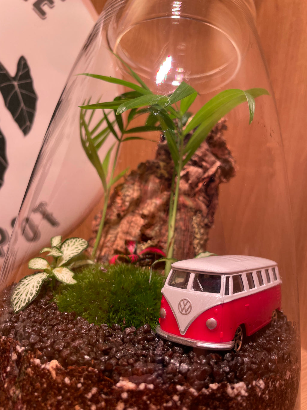 Gone Camping
