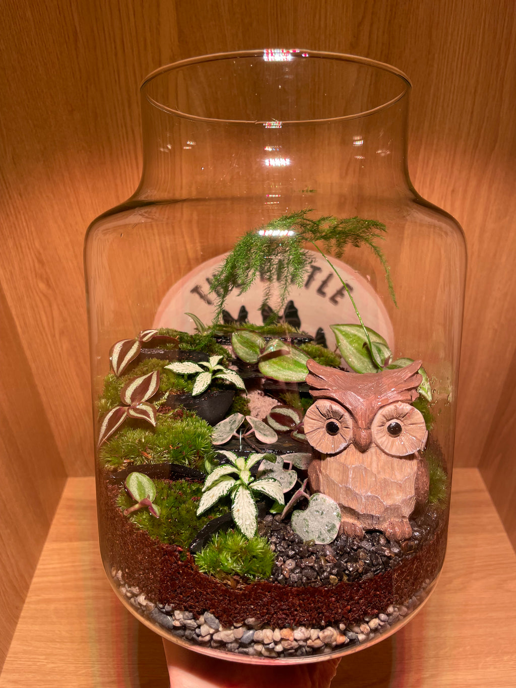Owl Terrarium