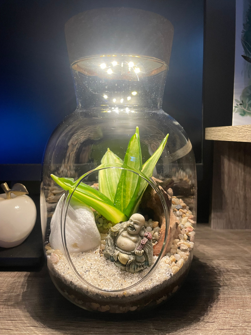 Buddha LED Terrarium