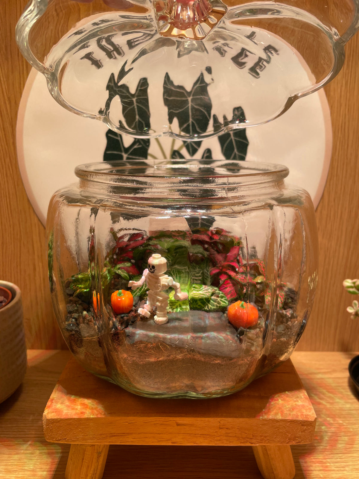 Pumpkin Terrarium