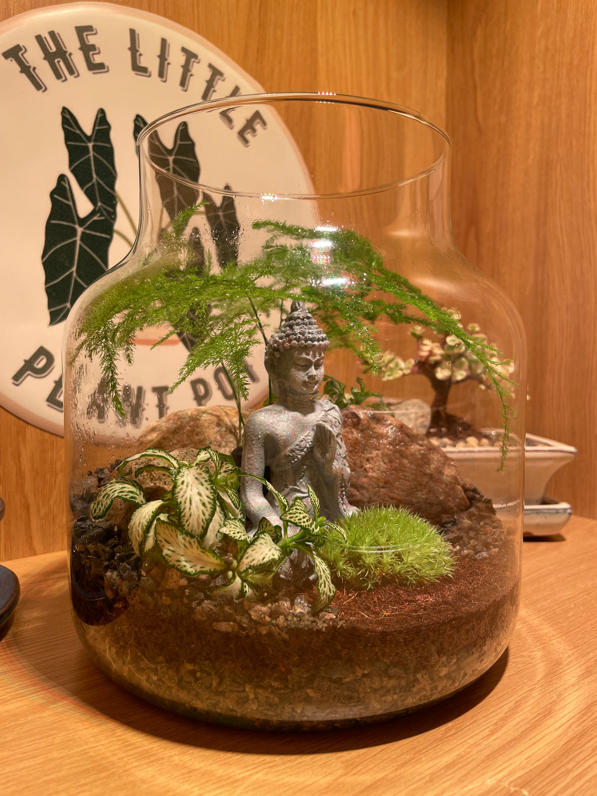 Buddha Terrarium
