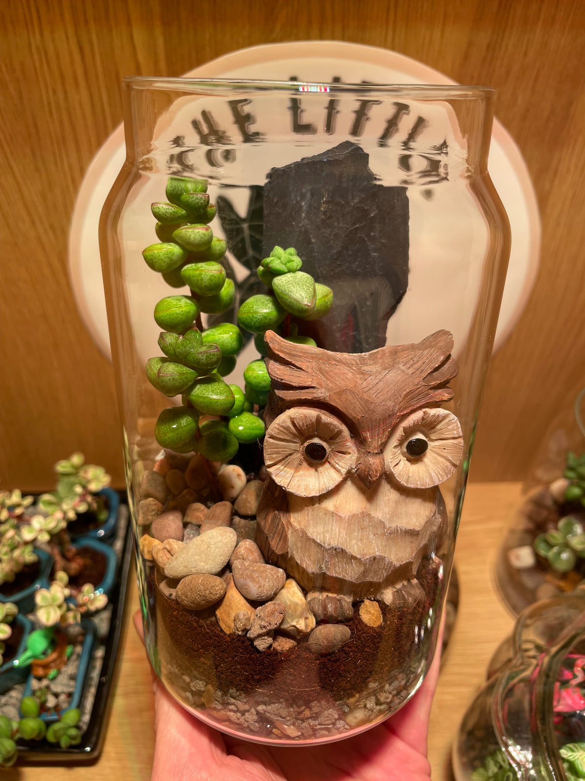 Little Owl Terrarium
