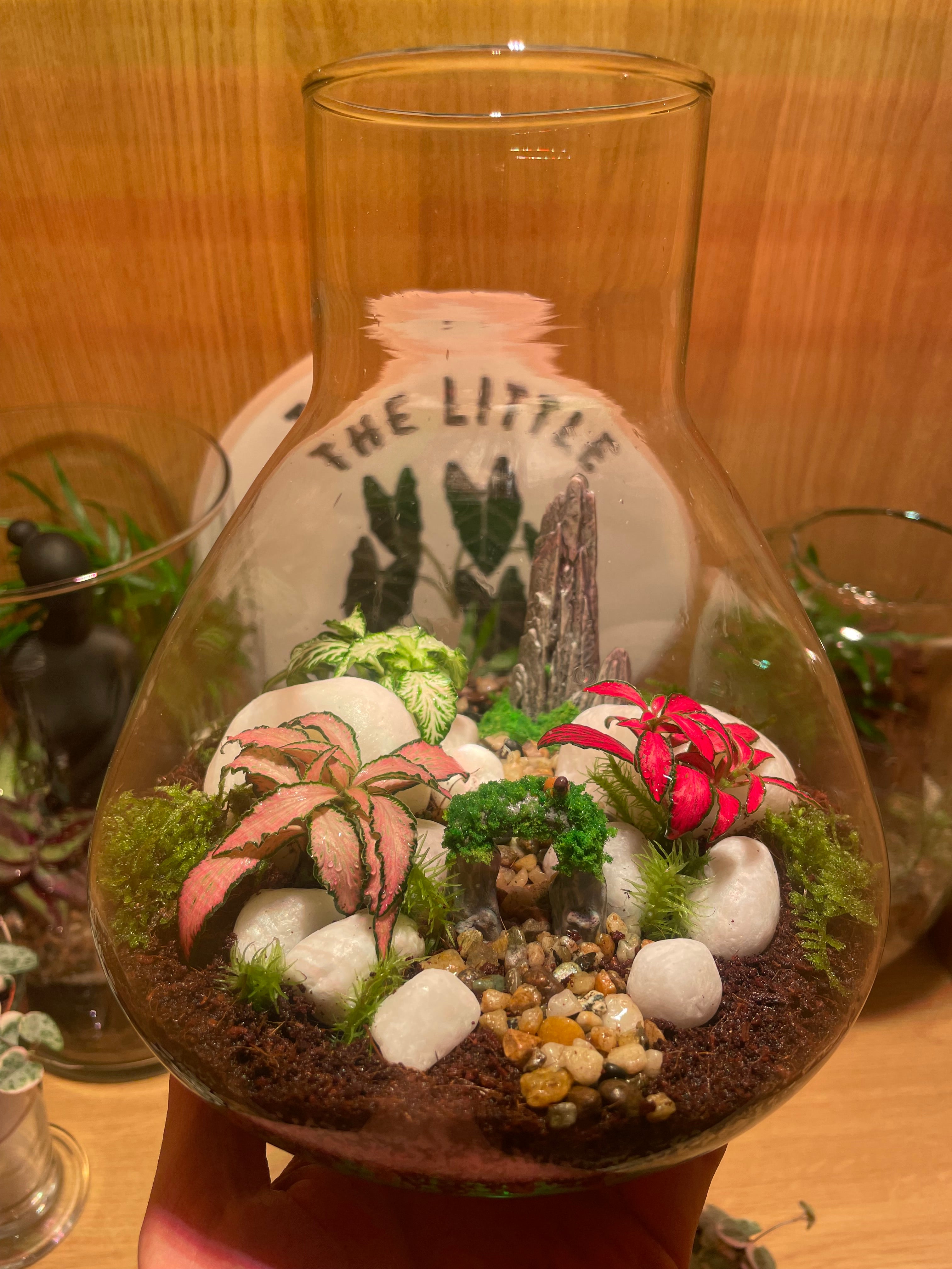 ***NEW*** Little Bird Terrarium