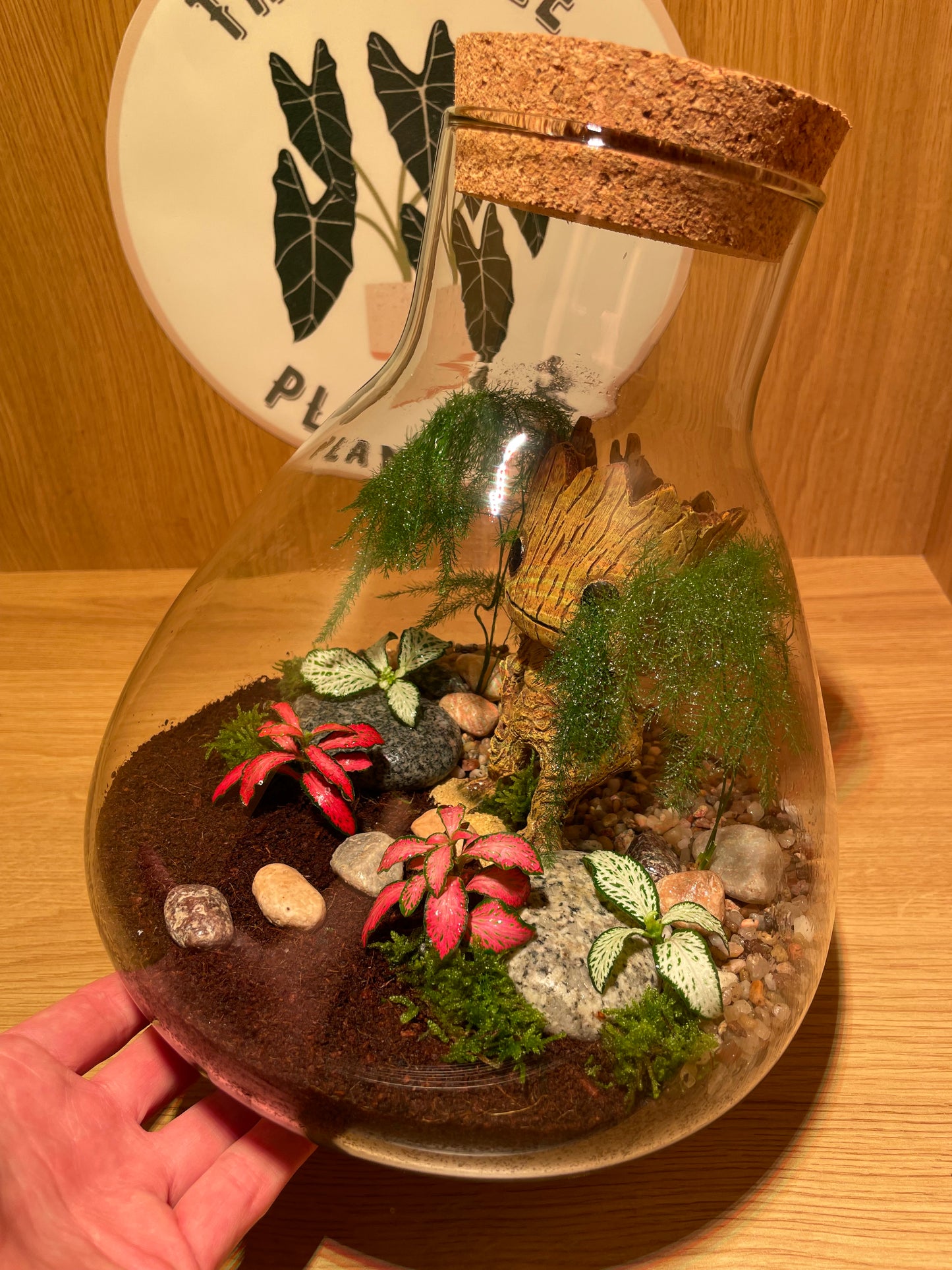 ***NEW*** Grootarium