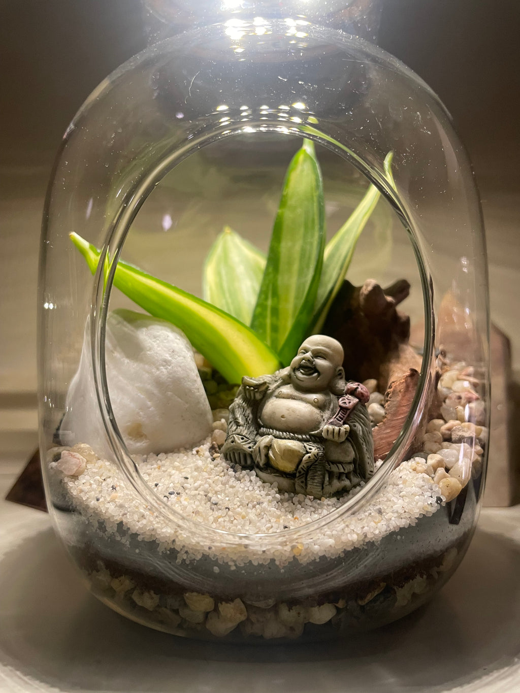Buddha LED Terrarium