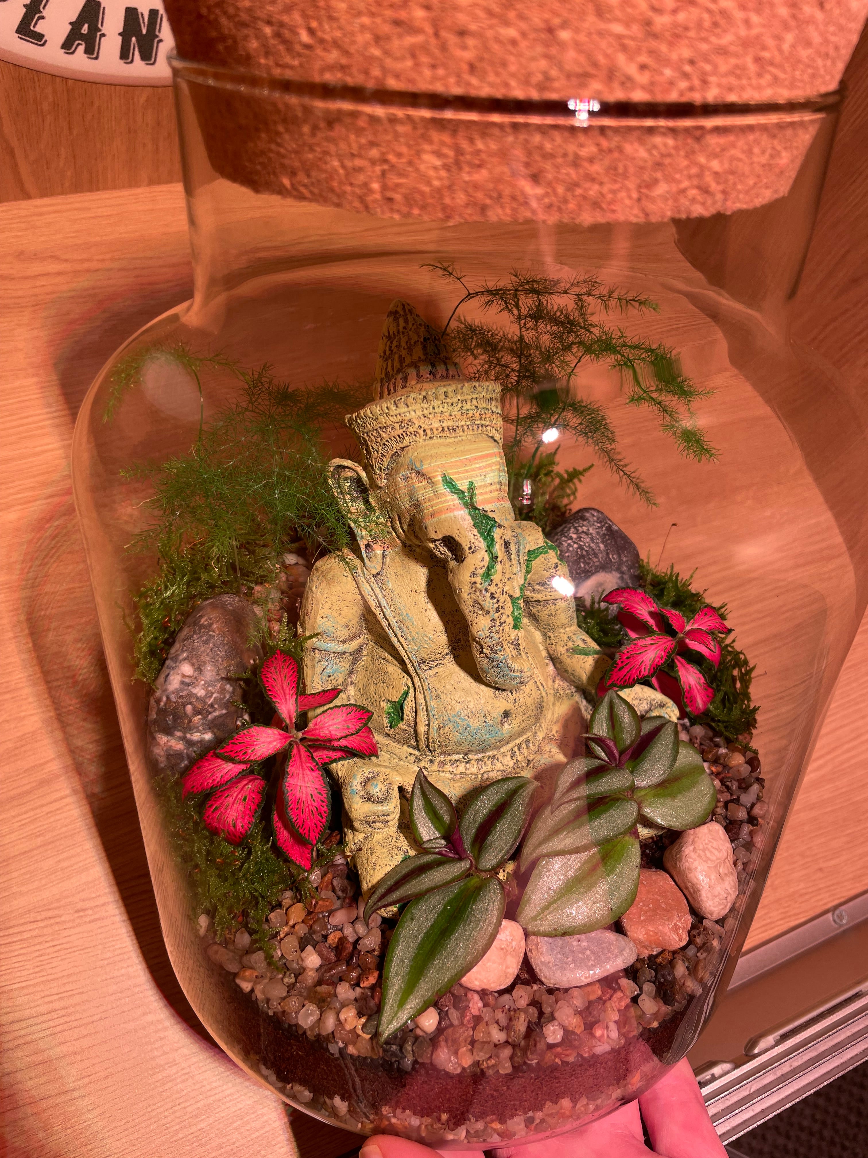 Ganesha Terrarium