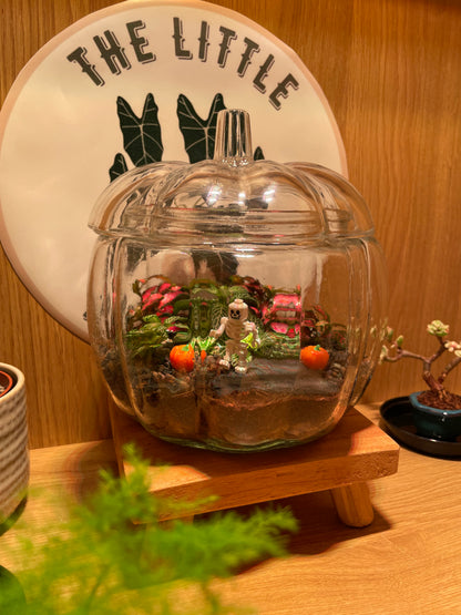 Pumpkin Terrarium