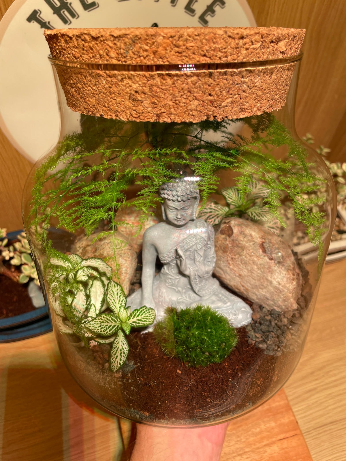 Buddha Terrarium