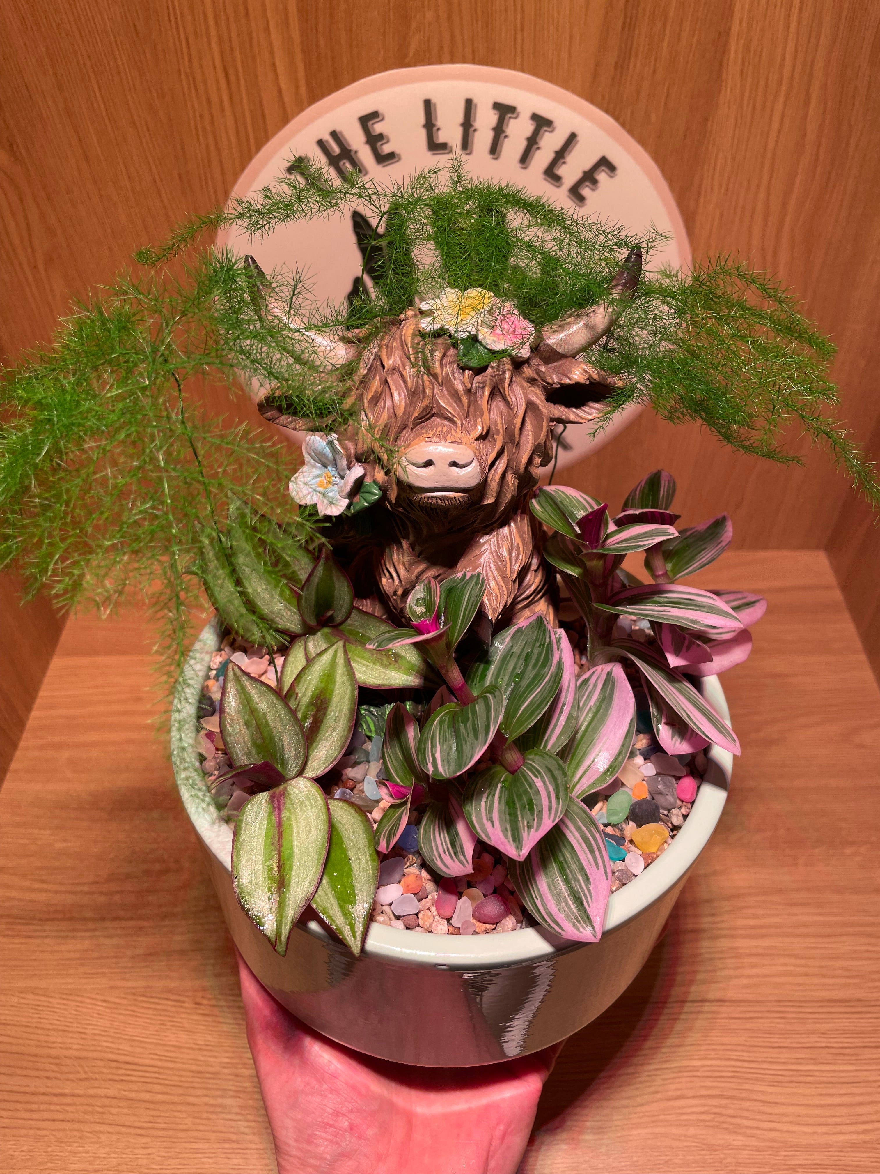 Highland Cow Bowl