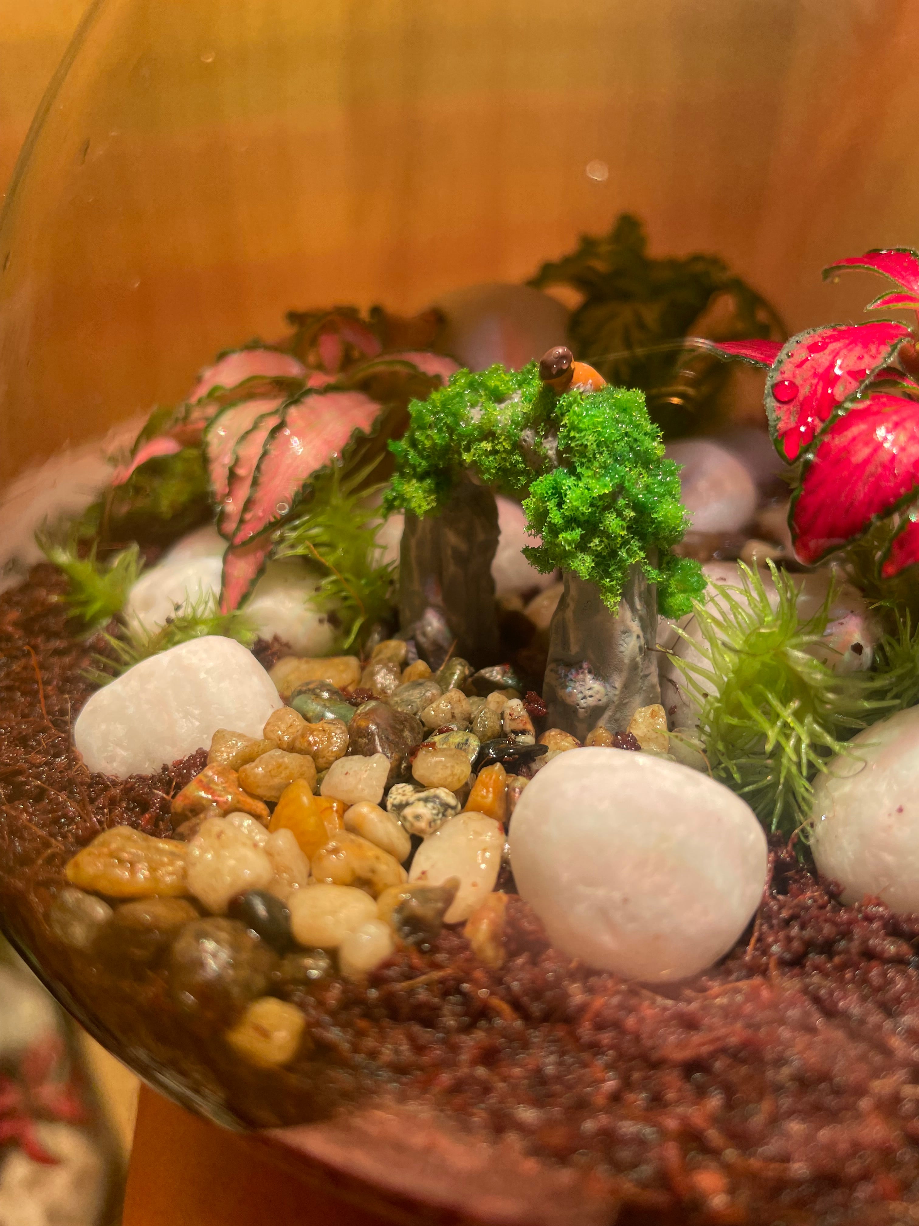 ***NEW*** Little Bird Terrarium