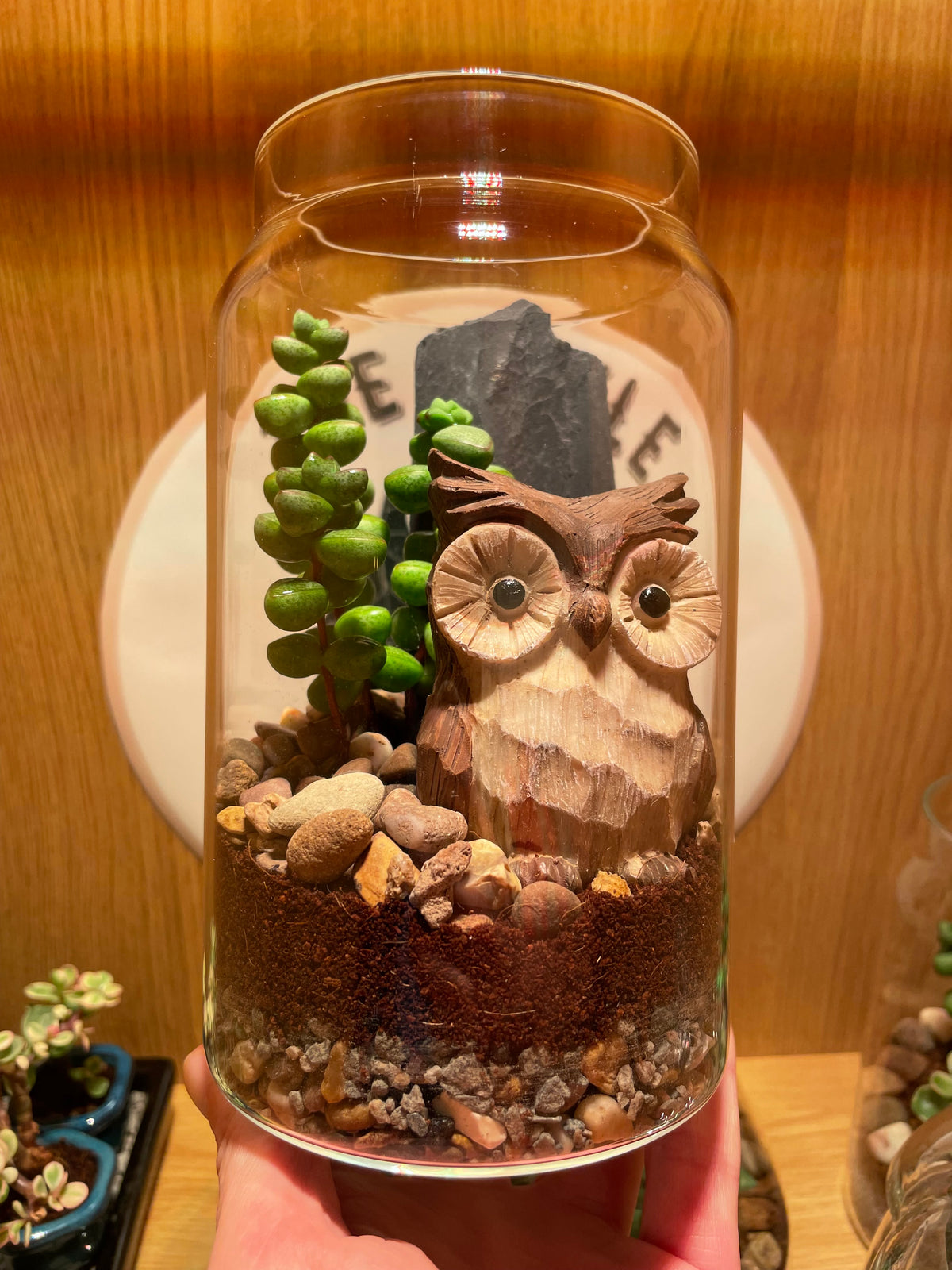 Little Owl Terrarium