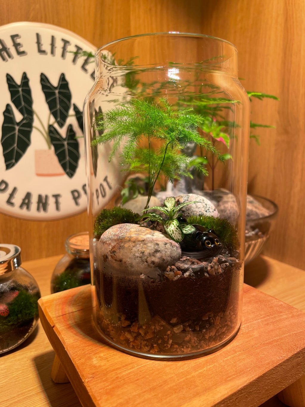 Little Cat Terrarium
