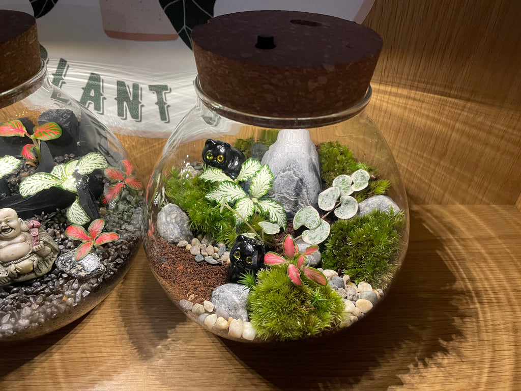 *NEW* Cats LED Terrarium