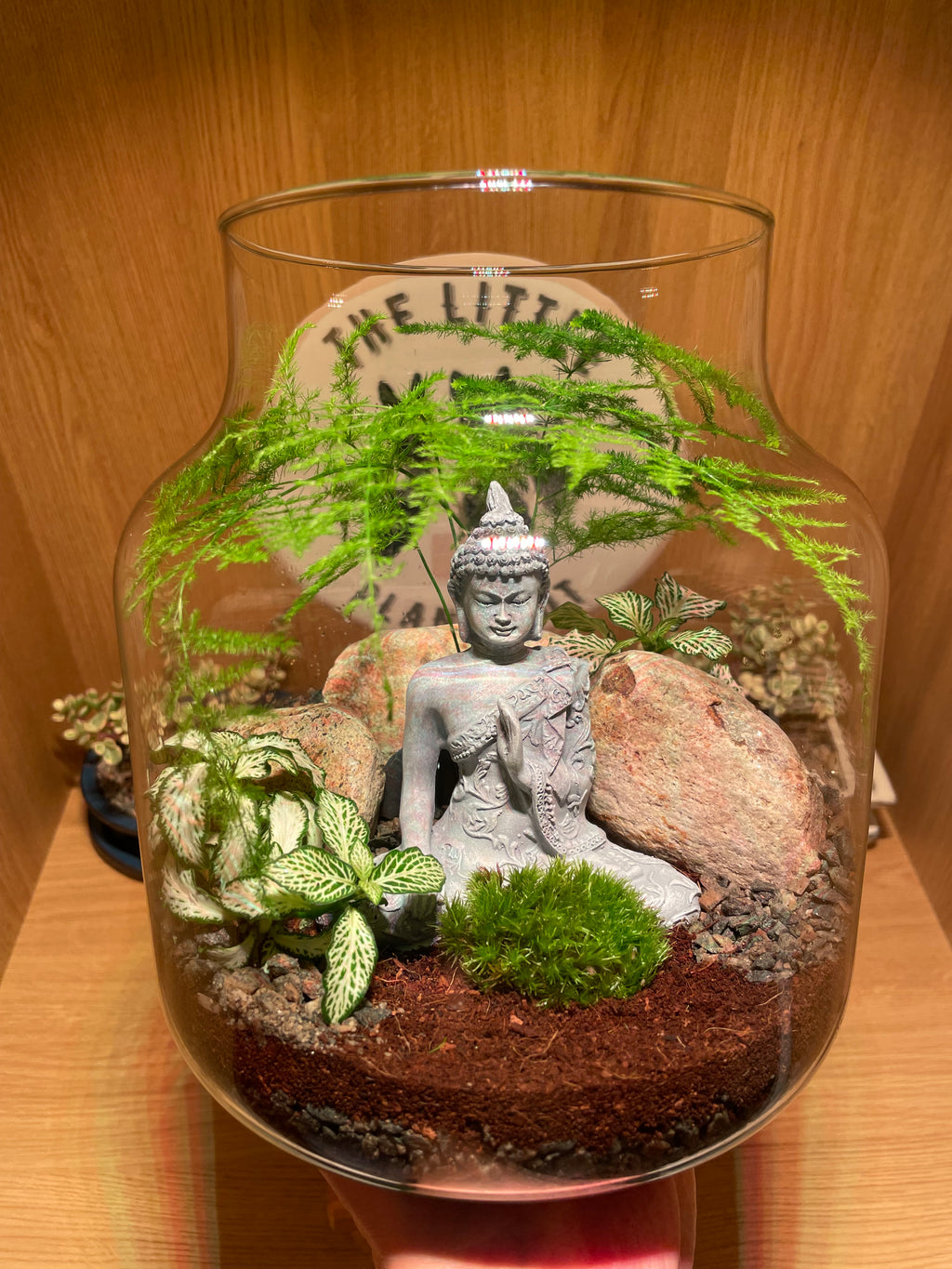 Buddha Terrarium